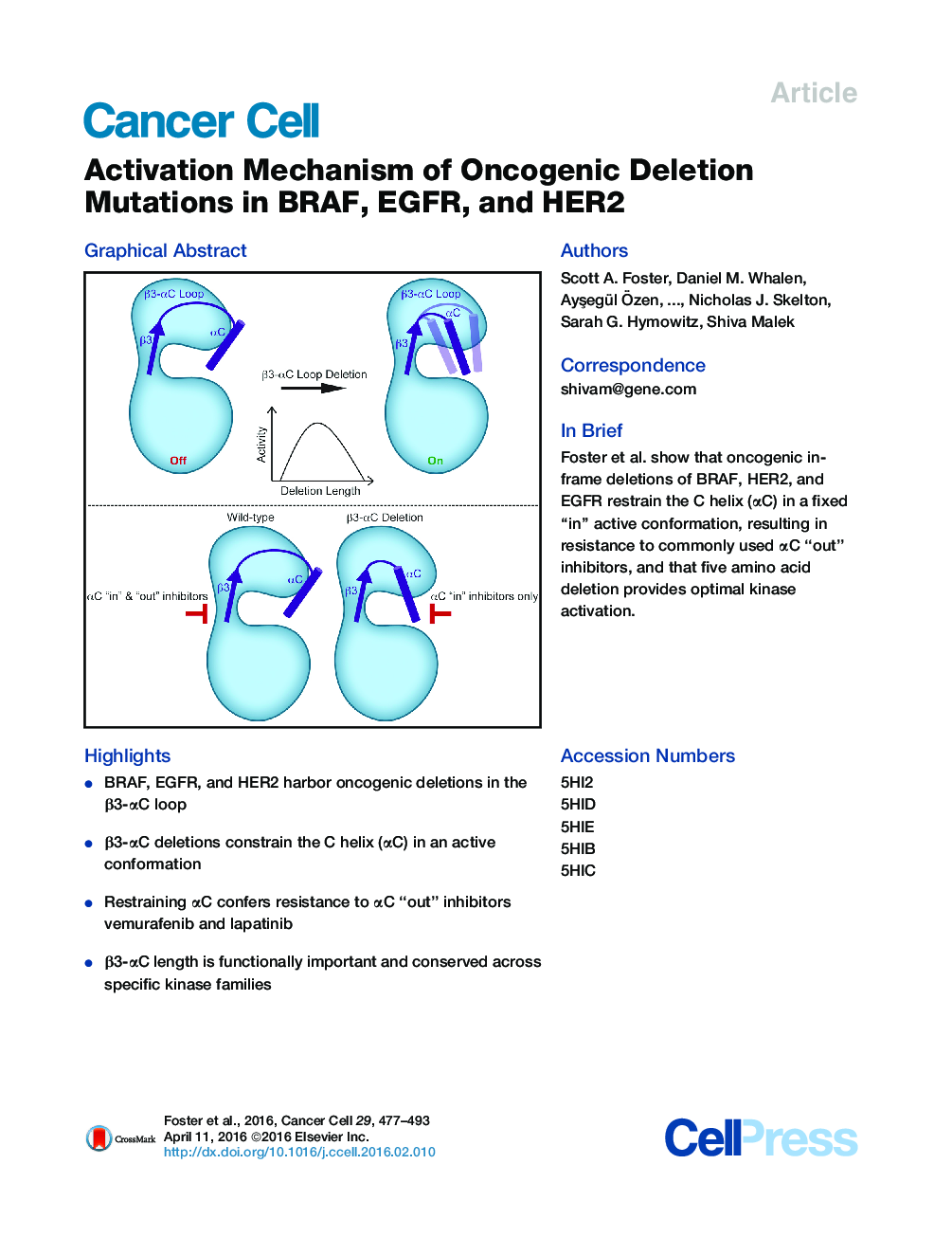 Activation Mechanism of Oncogenic Deletion Mutations in BRAF, EGFR, and HER2