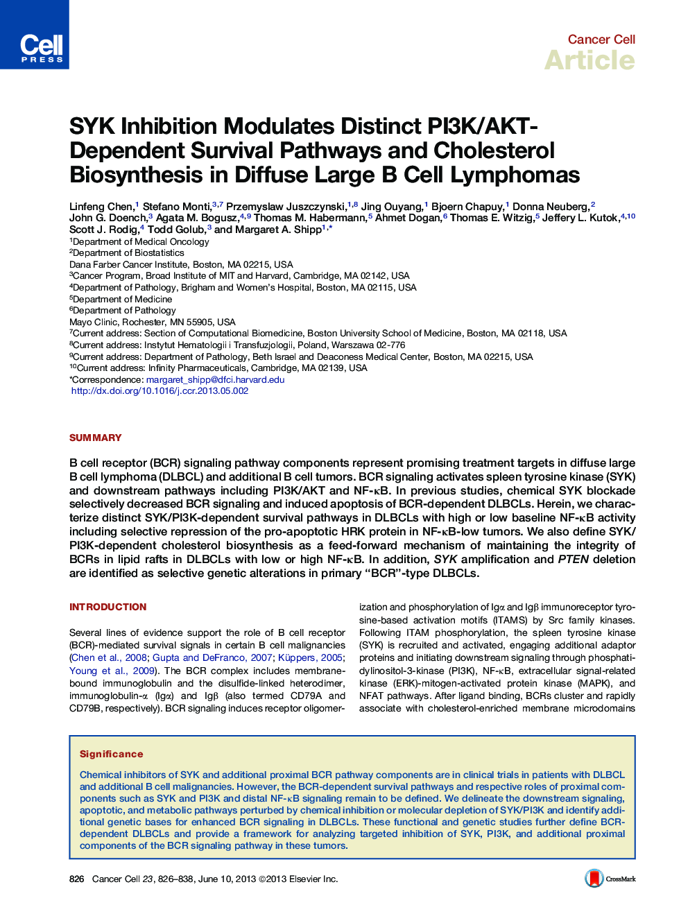 SYK Inhibition Modulates Distinct PI3K/AKT- Dependent Survival Pathways and Cholesterol Biosynthesis in Diffuse Large B Cell Lymphomas