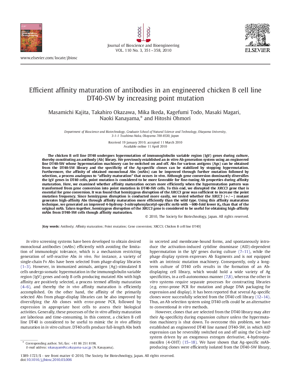 Efficient affinity maturation of antibodies in an engineered chicken B cell line DT40-SW by increasing point mutation