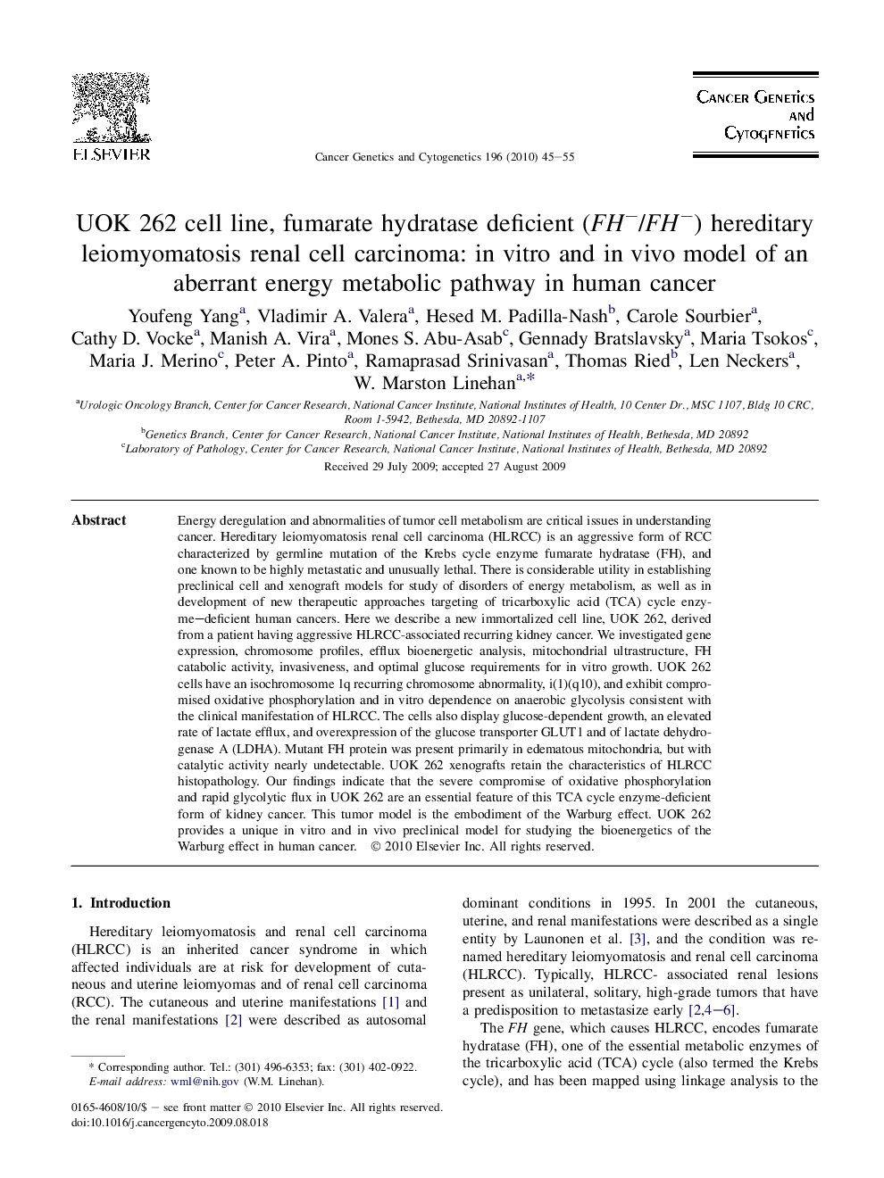 UOK 262 cell line, fumarate hydratase deficient (FH−/FH−) hereditary leiomyomatosis renal cell carcinoma: in vitro and in vivo model of an aberrant energy metabolic pathway in human cancer