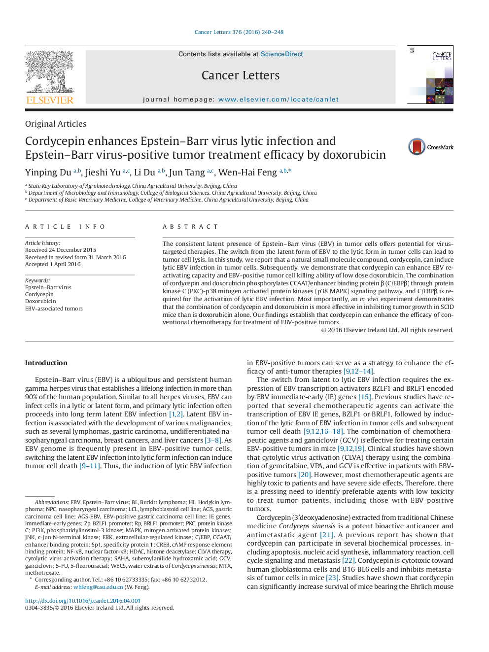 Cordycepin enhances Epstein–Barr virus lytic infection and Epstein–Barr virus-positive tumor treatment efficacy by doxorubicin