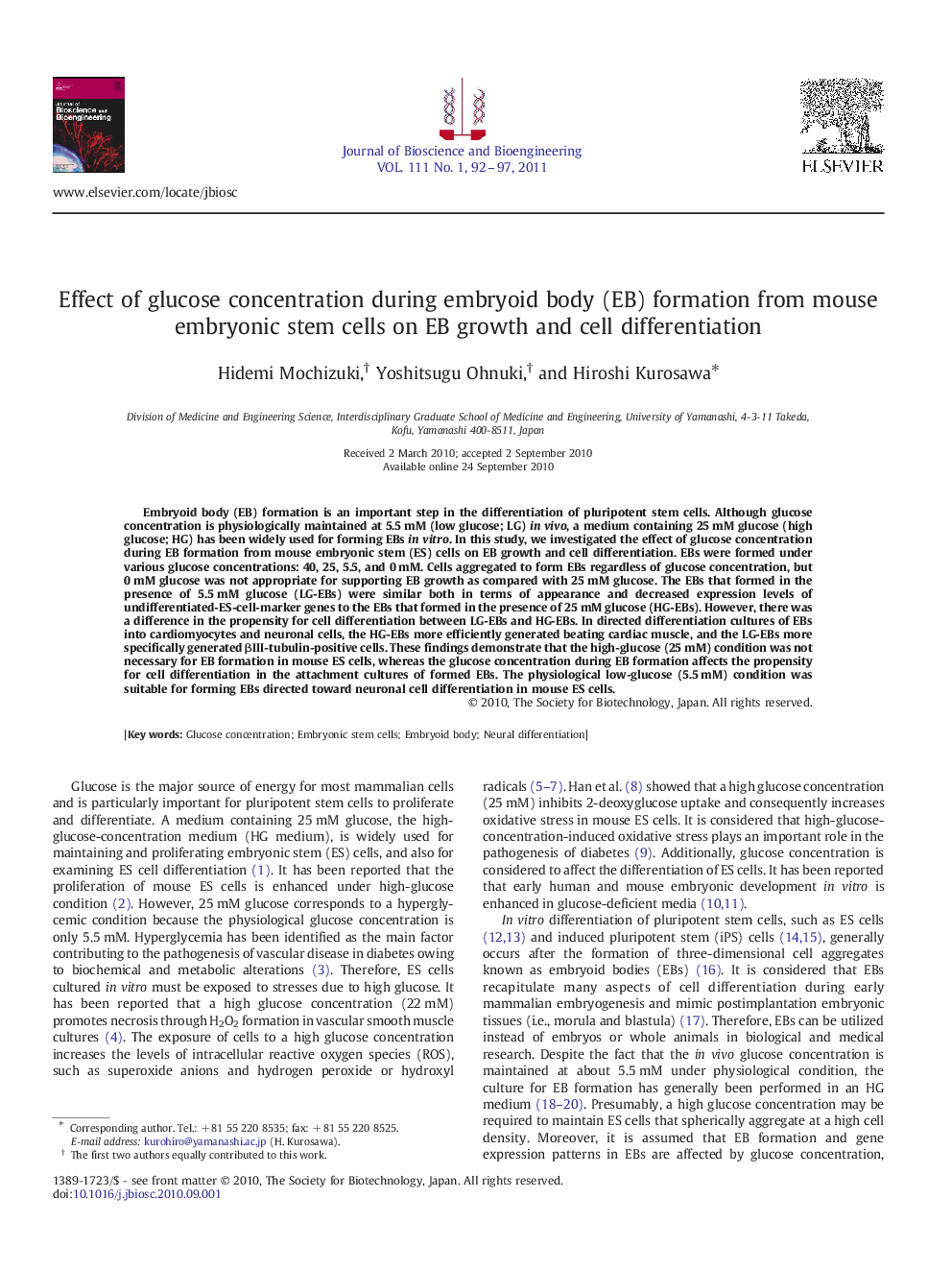 Effect of glucose concentration during embryoid body (EB) formation from mouse embryonic stem cells on EB growth and cell differentiation