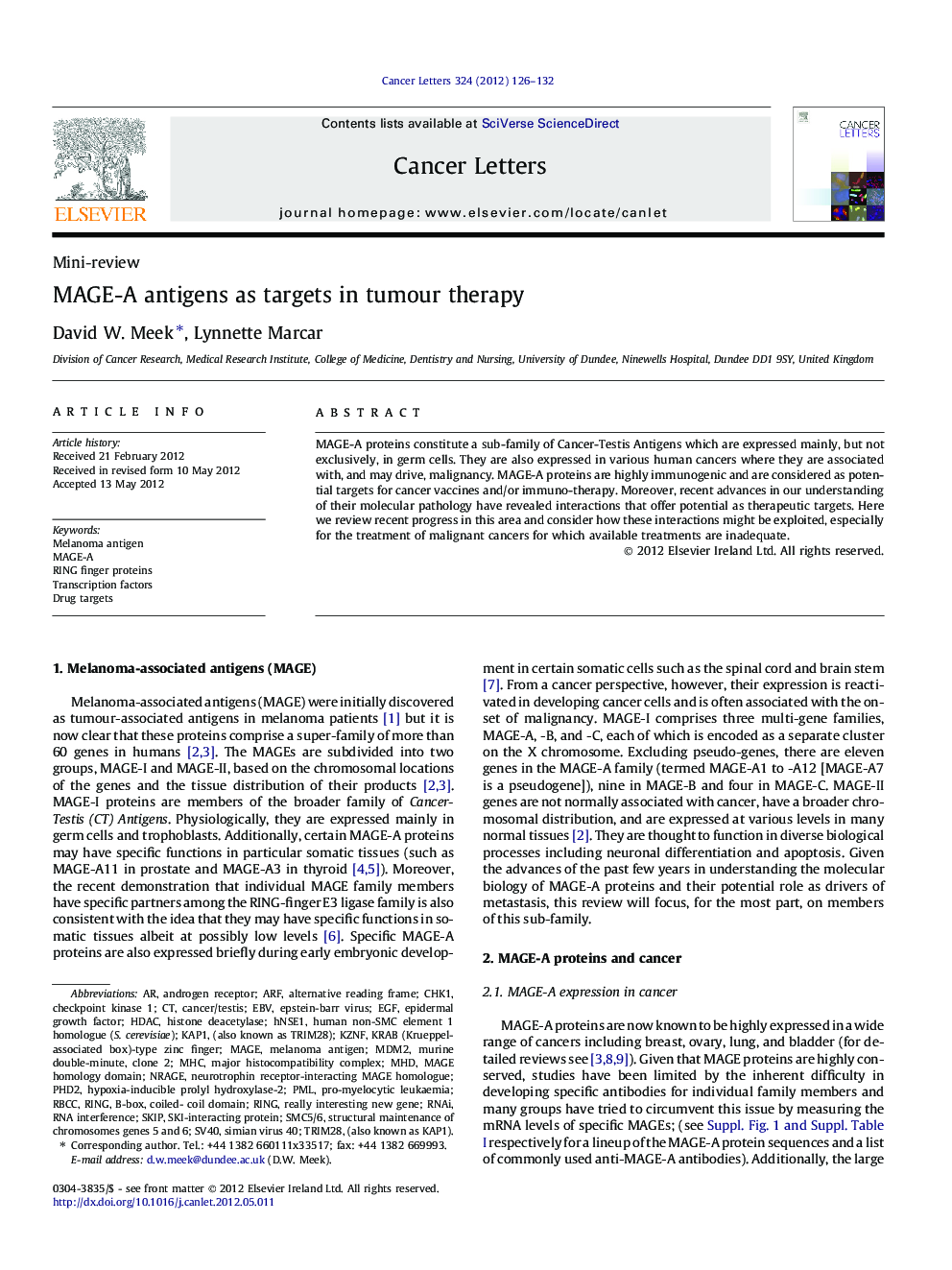 MAGE-A antigens as targets in tumour therapy