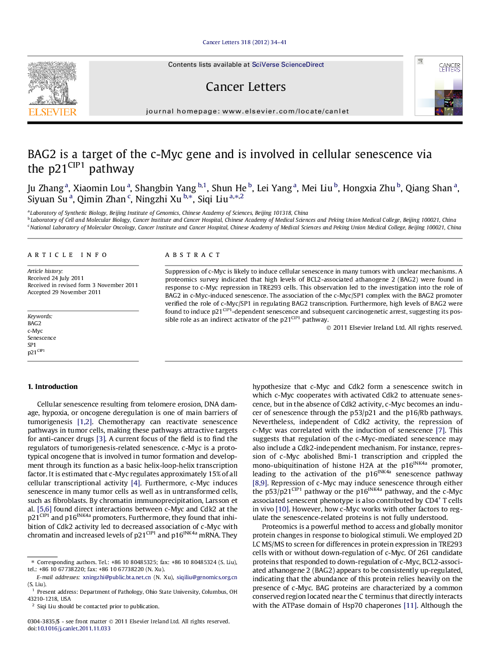 BAG2 is a target of the c-Myc gene and is involved in cellular senescence via the p21CIP1 pathway