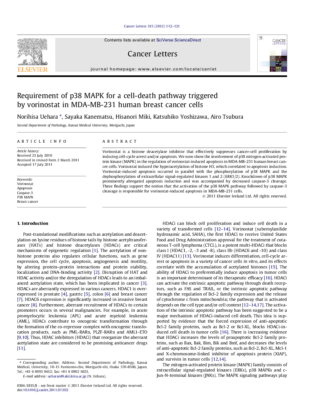 Requirement of p38 MAPK for a cell-death pathway triggered by vorinostat in MDA-MB-231 human breast cancer cells