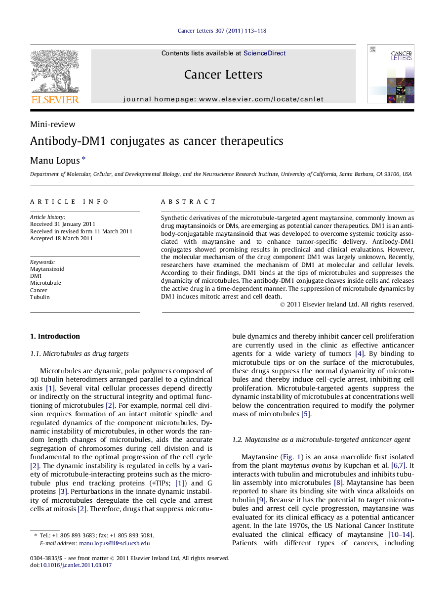 Antibody-DM1 conjugates as cancer therapeutics