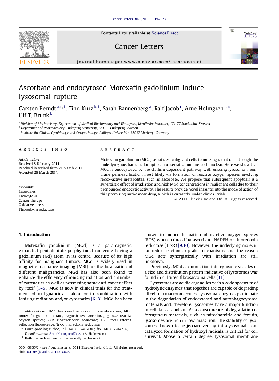 Ascorbate and endocytosed Motexafin gadolinium induce lysosomal rupture