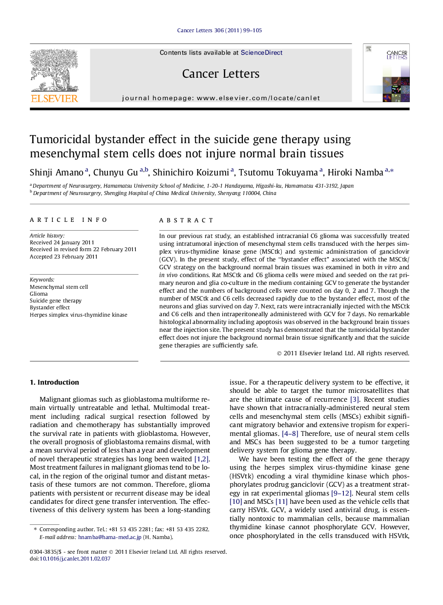 Tumoricidal bystander effect in the suicide gene therapy using mesenchymal stem cells does not injure normal brain tissues