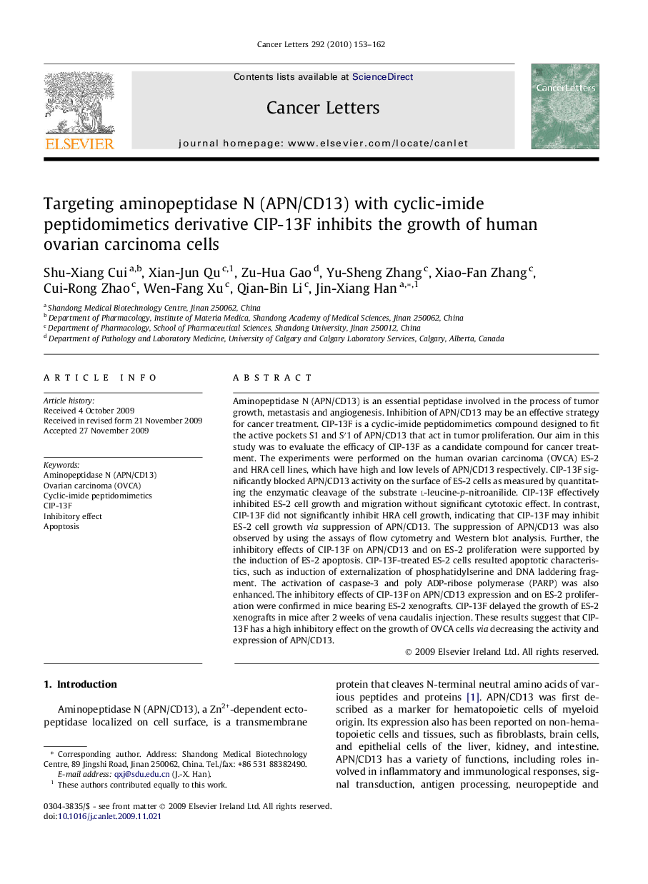 Targeting aminopeptidase N (APN/CD13) with cyclic-imide peptidomimetics derivative CIP-13F inhibits the growth of human ovarian carcinoma cells