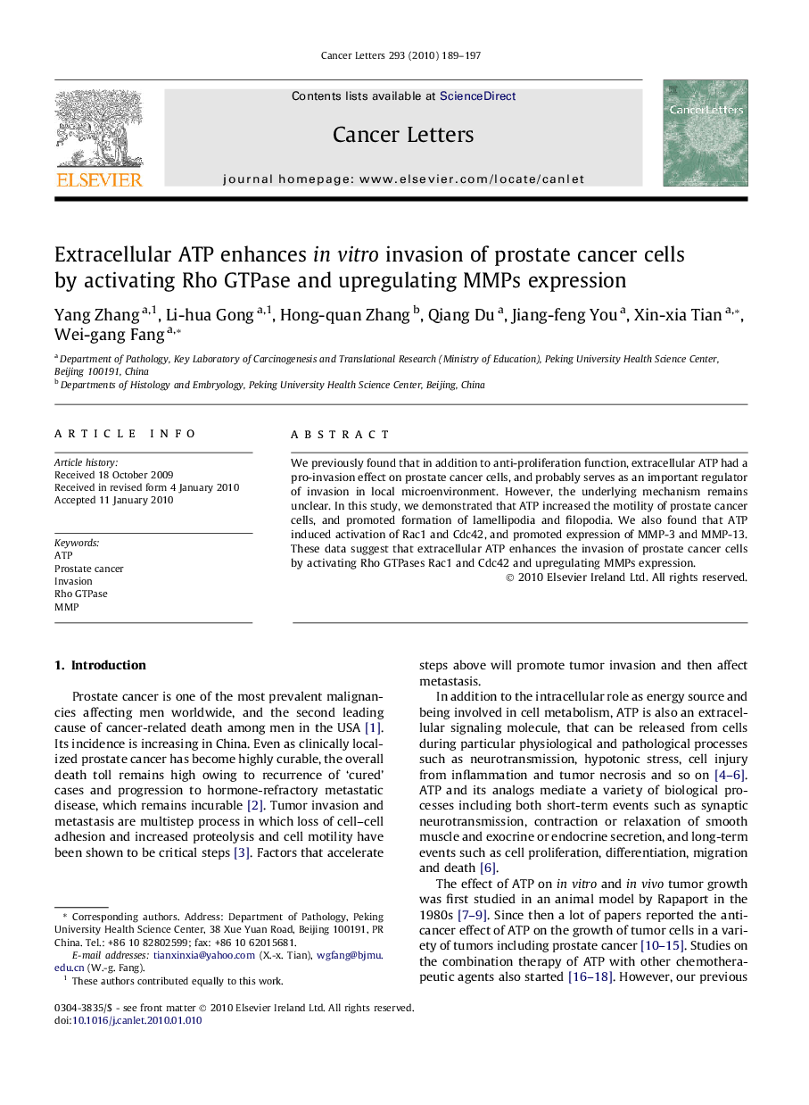 Extracellular ATP enhances in vitro invasion of prostate cancer cells by activating Rho GTPase and upregulating MMPs expression