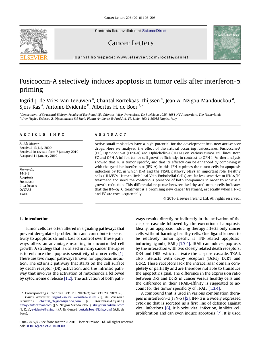 Fusicoccin-A selectively induces apoptosis in tumor cells after interferon-α priming