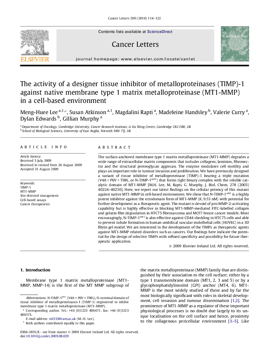 The activity of a designer tissue inhibitor of metalloproteinases (TIMP)-1 against native membrane type 1 matrix metalloproteinase (MT1-MMP) in a cell-based environment