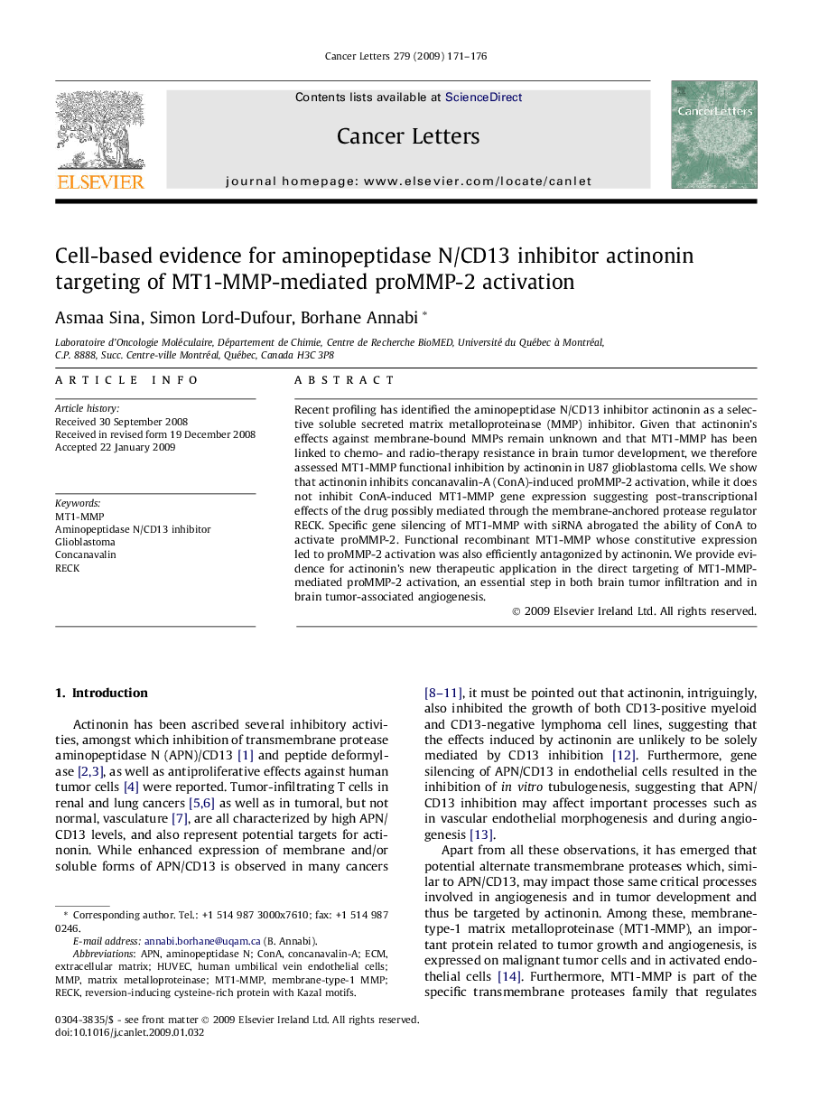 Cell-based evidence for aminopeptidase N/CD13 inhibitor actinonin targeting of MT1-MMP-mediated proMMP-2 activation