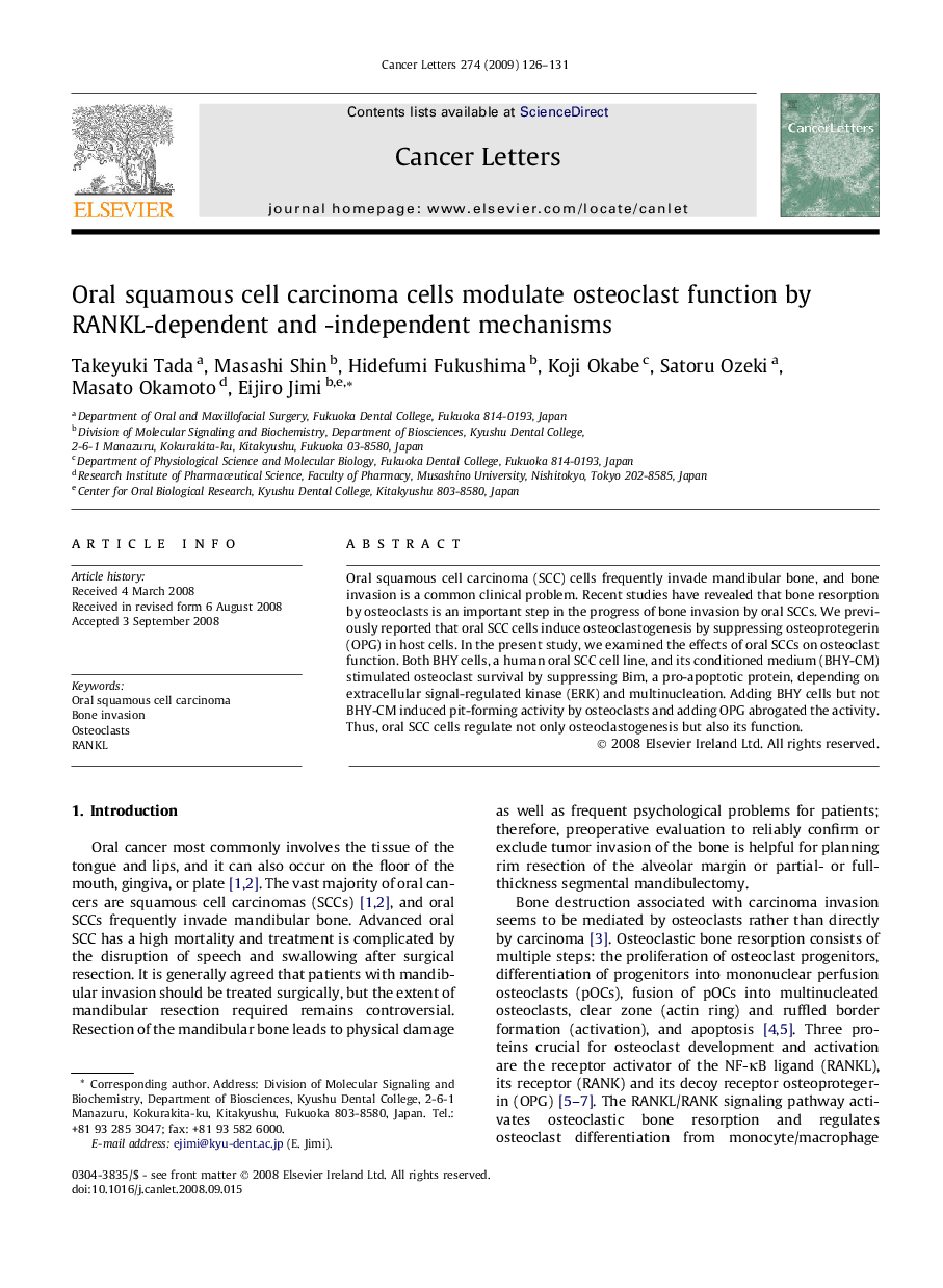 Oral squamous cell carcinoma cells modulate osteoclast function by RANKL-dependent and -independent mechanisms