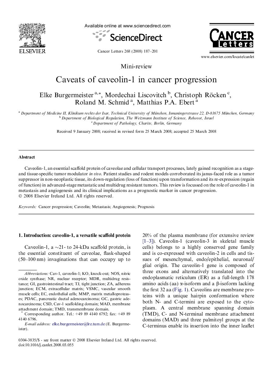 Caveats of caveolin-1 in cancer progression