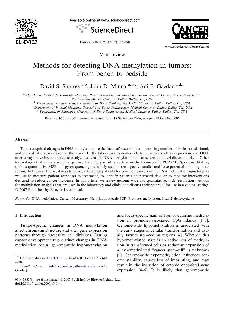 Methods for detecting DNA methylation in tumors: From bench to bedside