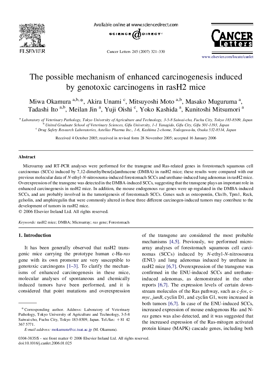 The possible mechanism of enhanced carcinogenesis induced by genotoxic carcinogens in rasH2 mice