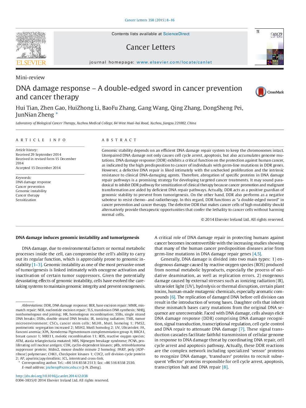 DNA damage response – A double-edged sword in cancer prevention and cancer therapy