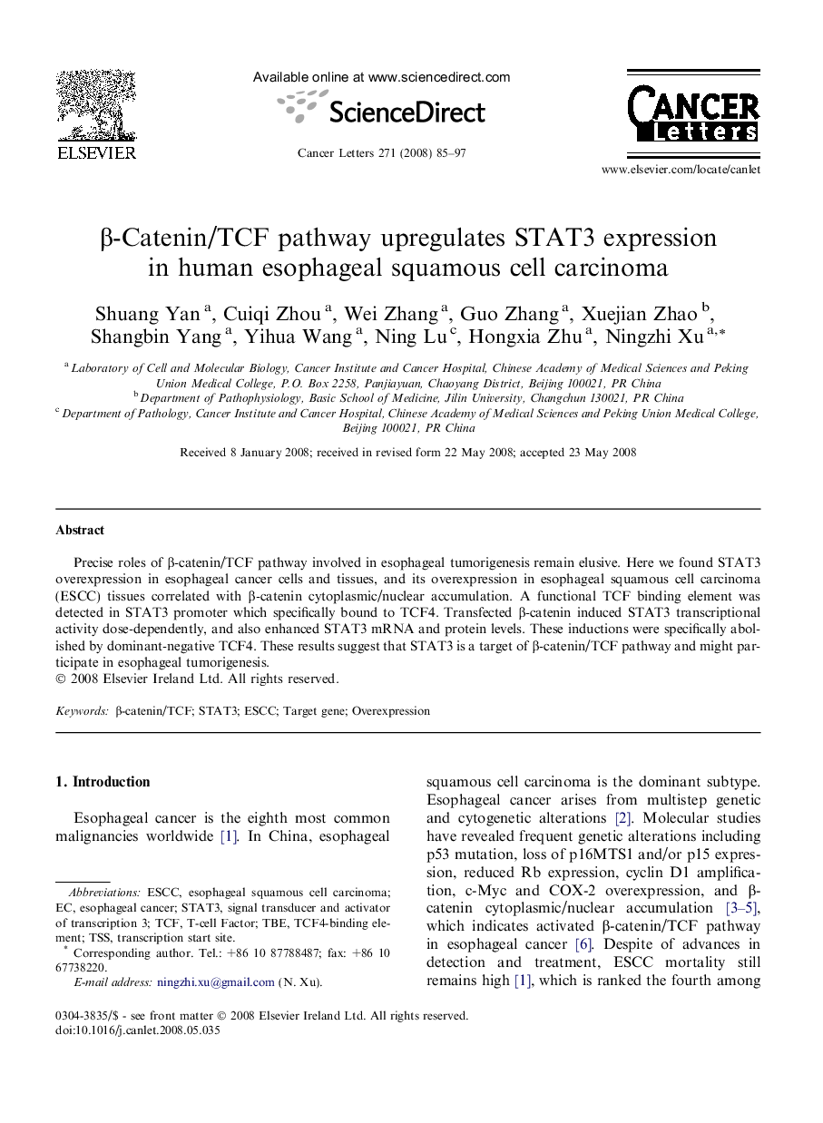 β-Catenin/TCF pathway upregulates STAT3 expression in human esophageal squamous cell carcinoma