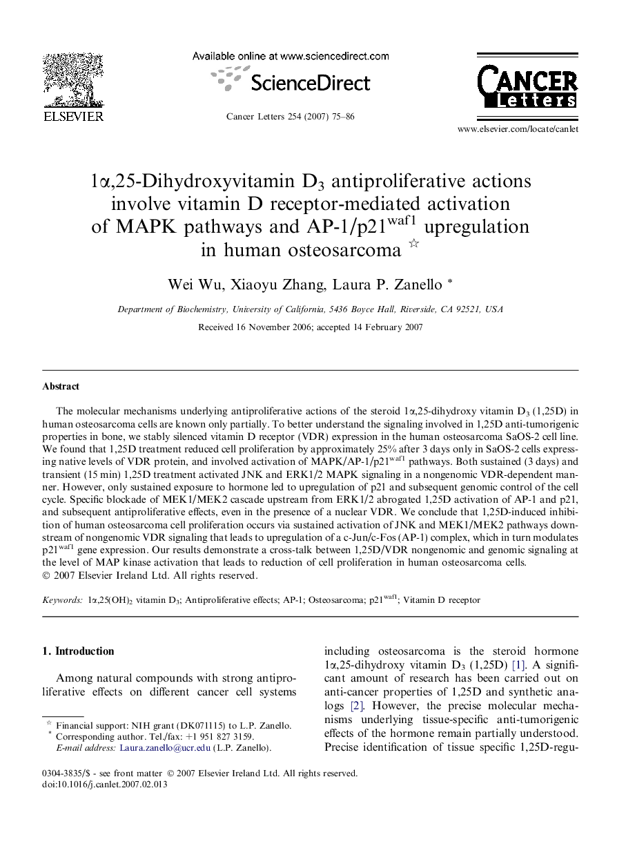 1α,25-Dihydroxyvitamin D3 antiproliferative actions involve vitamin D receptor-mediated activation of MAPK pathways and AP-1/p21waf1 upregulation in human osteosarcoma 