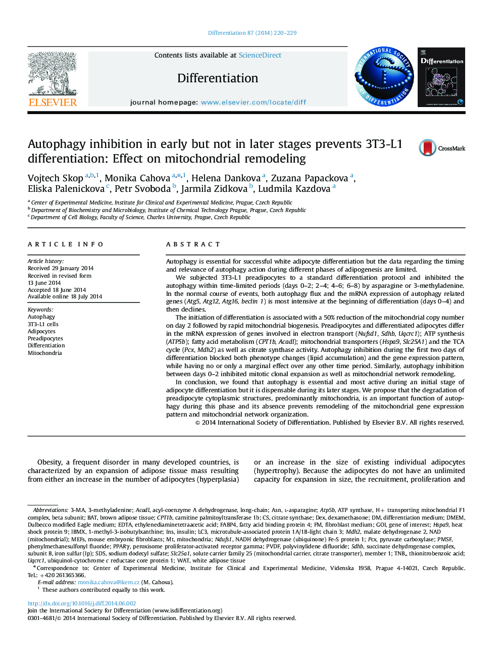 Autophagy inhibition in early but not in later stages prevents 3T3-L1 differentiation: Effect on mitochondrial remodeling