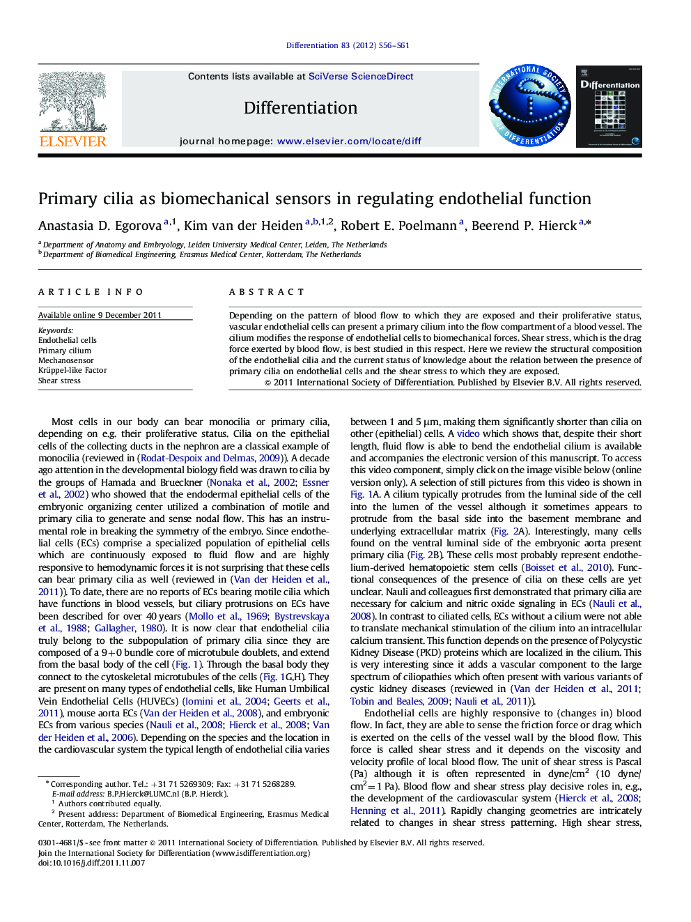 Primary cilia as biomechanical sensors in regulating endothelial function