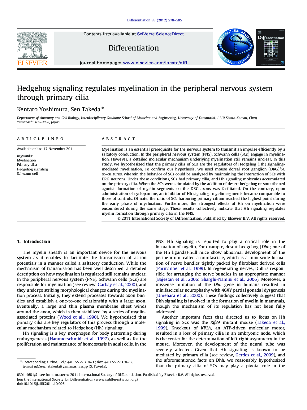 Hedgehog signaling regulates myelination in the peripheral nervous system through primary cilia