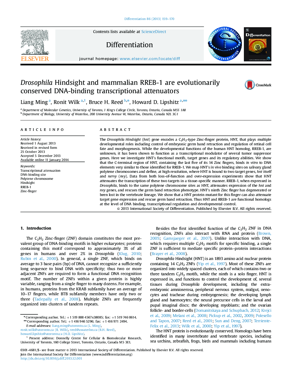 Drosophila Hindsight and mammalian RREB-1 are evolutionarily conserved DNA-binding transcriptional attenuators