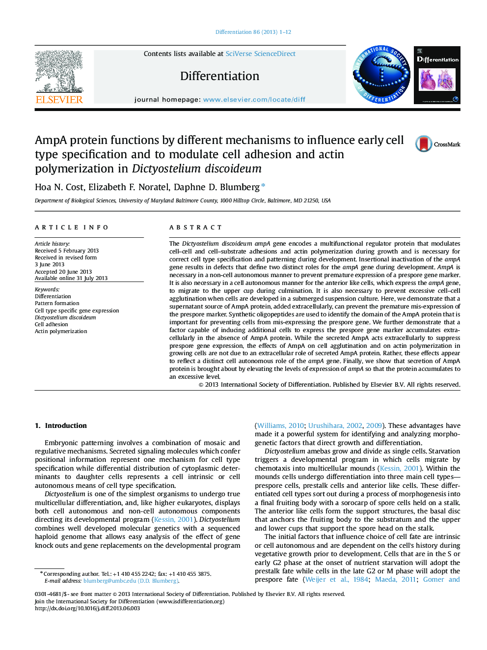 AmpA protein functions by different mechanisms to influence early cell type specification and to modulate cell adhesion and actin polymerization in Dictyostelium discoideum