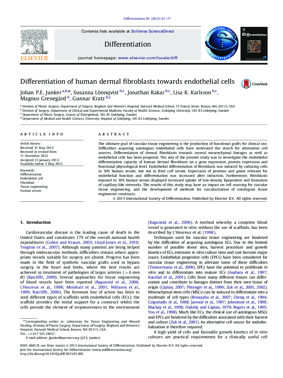 Differentiation of human dermal fibroblasts towards endothelial cells