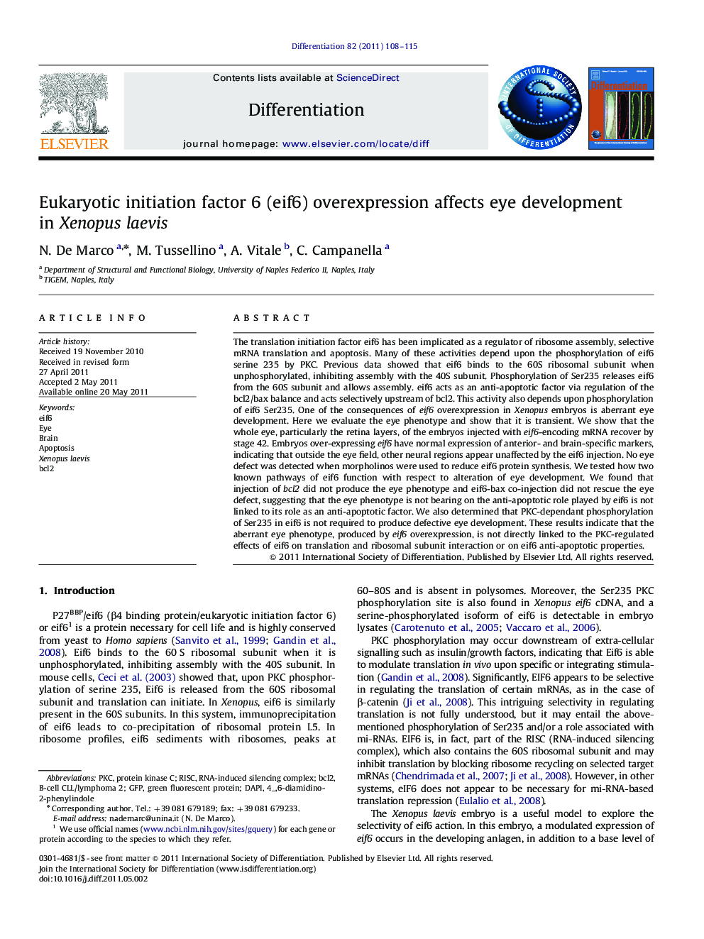 Eukaryotic initiation factor 6 (eif6) overexpression affects eye development in Xenopus laevis