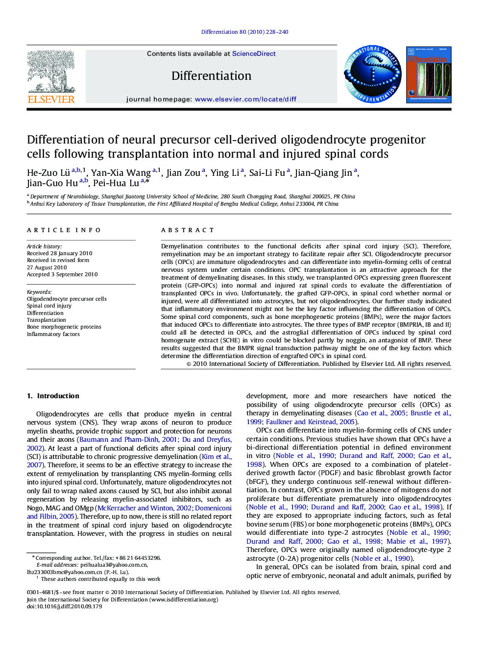 Differentiation of neural precursor cell-derived oligodendrocyte progenitor cells following transplantation into normal and injured spinal cords