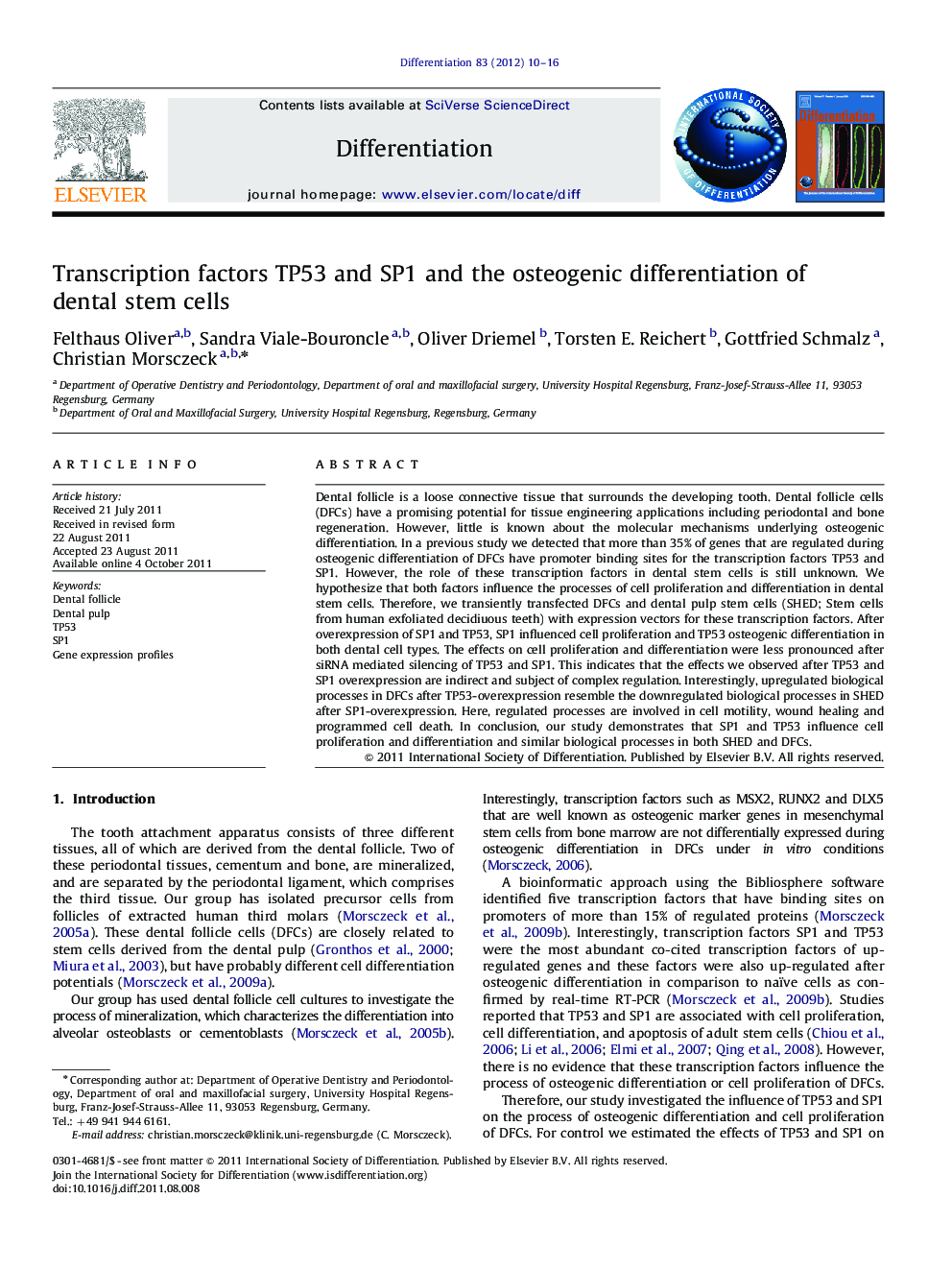 Transcription factors TP53 and SP1 and the osteogenic differentiation of dental stem cells