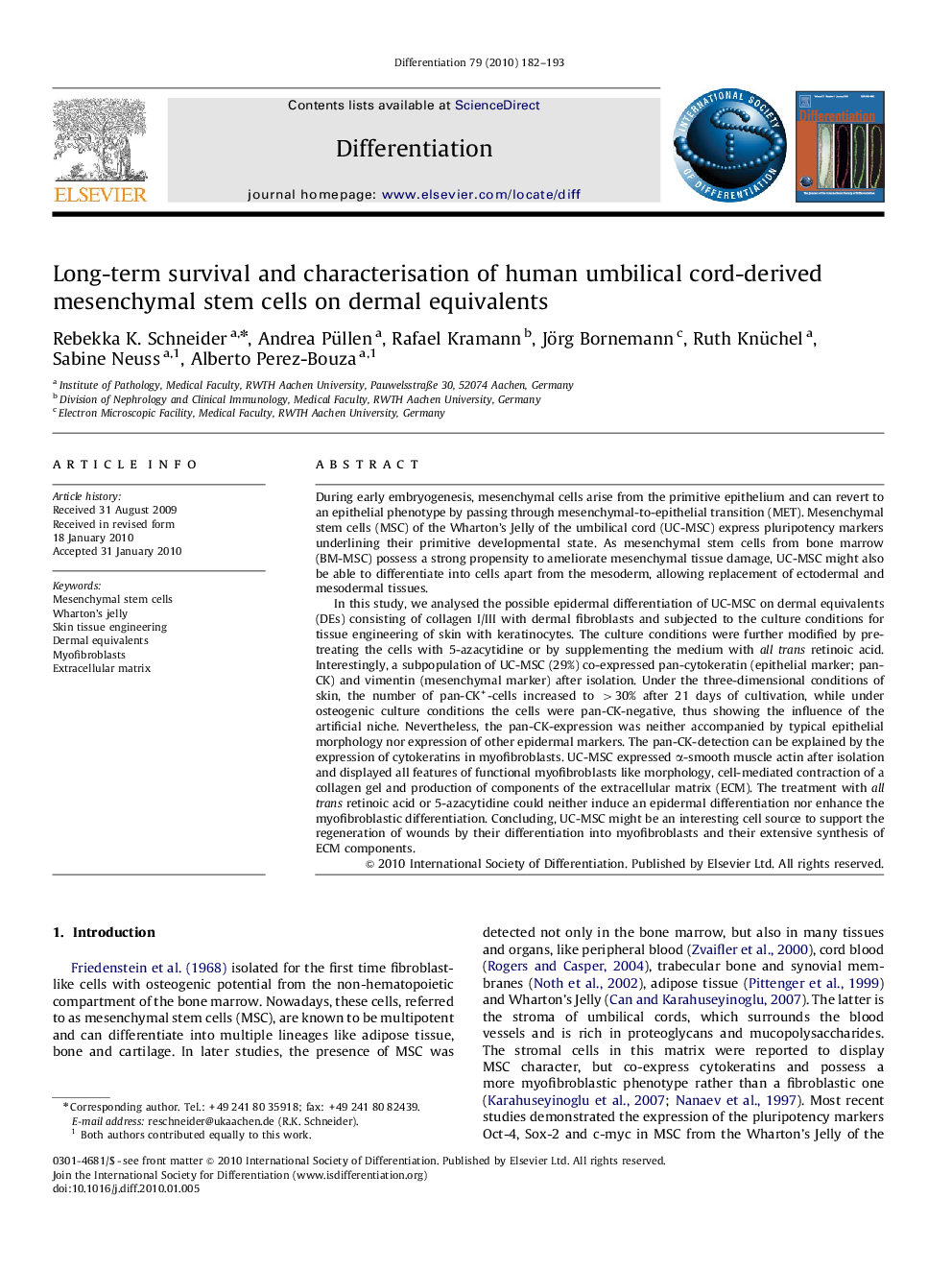 Long-term survival and characterisation of human umbilical cord-derived mesenchymal stem cells on dermal equivalents