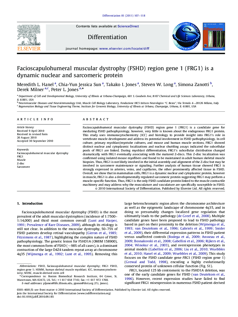 Facioscapulohumeral muscular dystrophy (FSHD) region gene 1 (FRG1) is a dynamic nuclear and sarcomeric protein