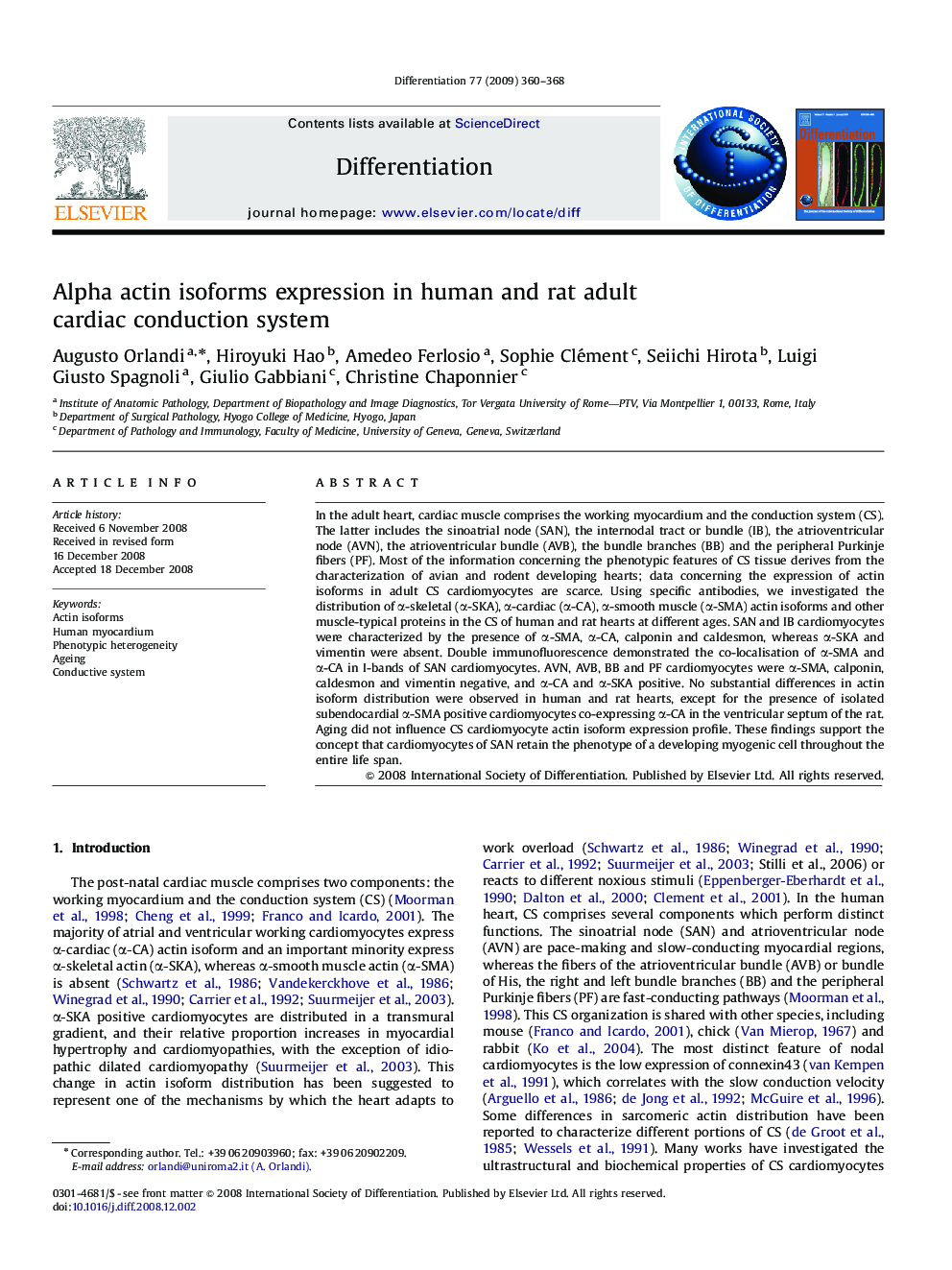 Alpha actin isoforms expression in human and rat adult cardiac conduction system