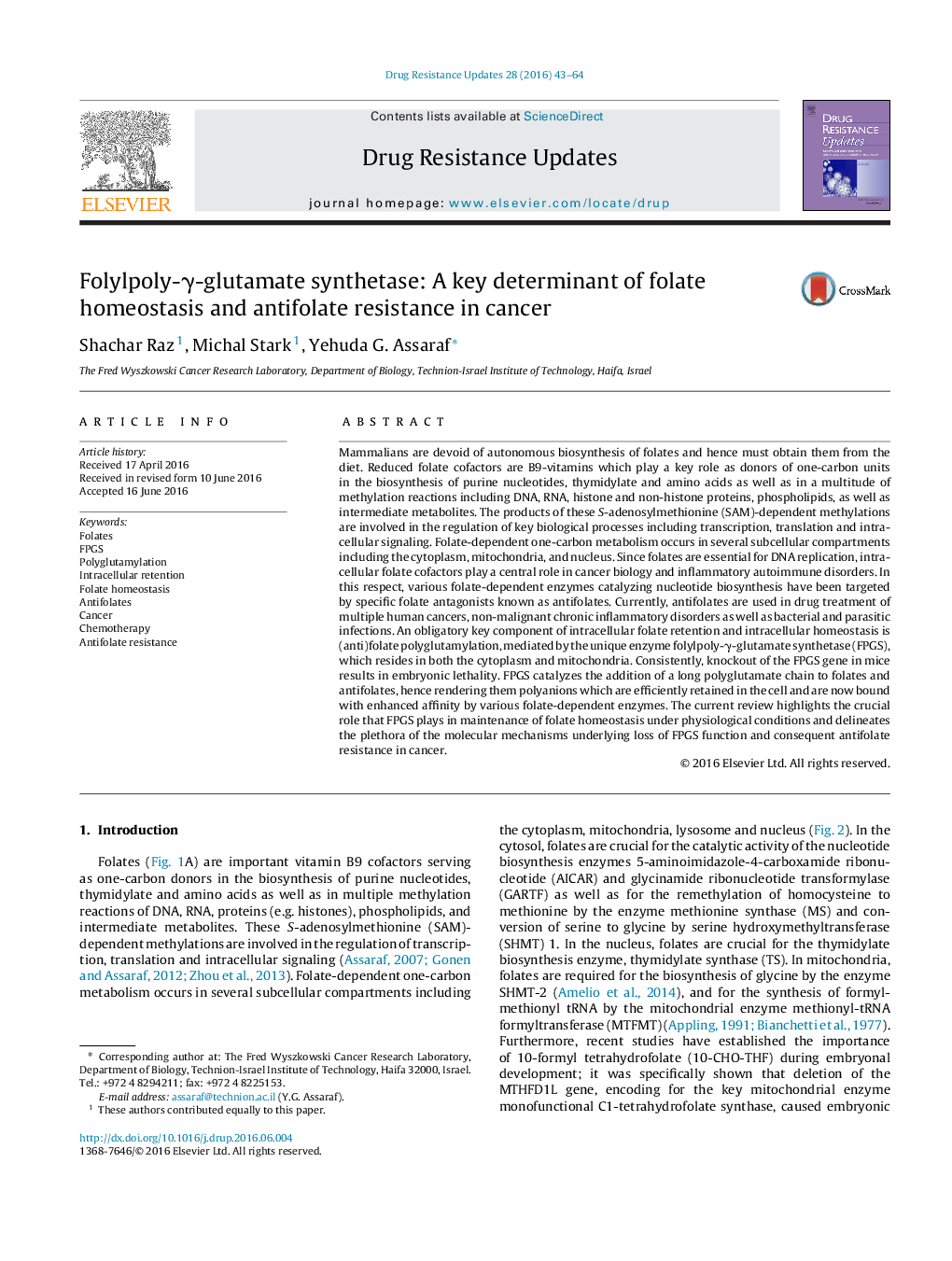 Folylpoly-γ-glutamate synthetase: A key determinant of folate homeostasis and antifolate resistance in cancer