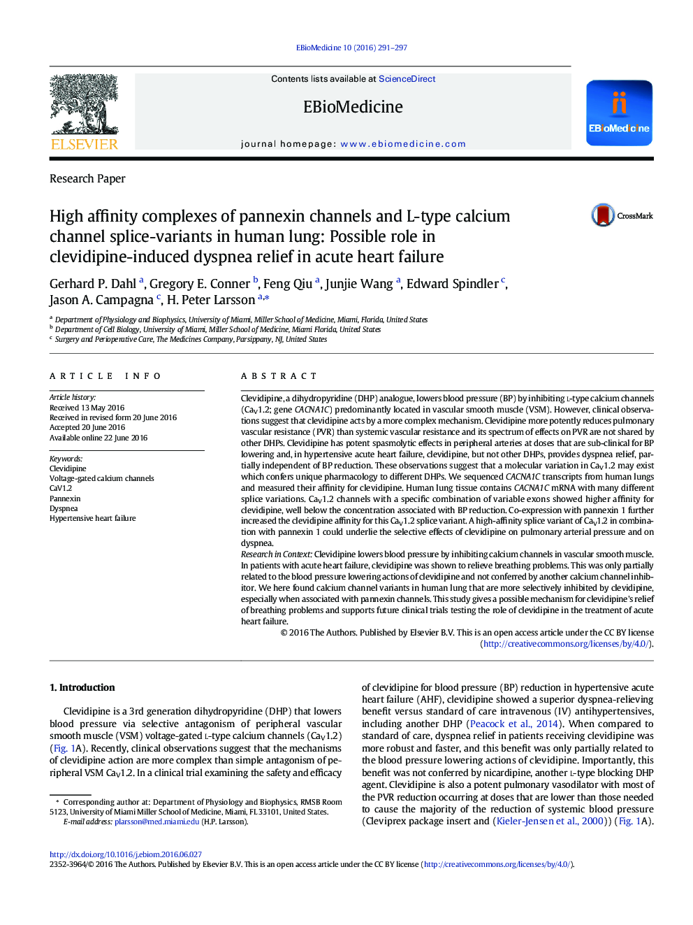 High affinity complexes of pannexin channels and L-type calcium channel splice-variants in human lung: Possible role in clevidipine-induced dyspnea relief in acute heart failure