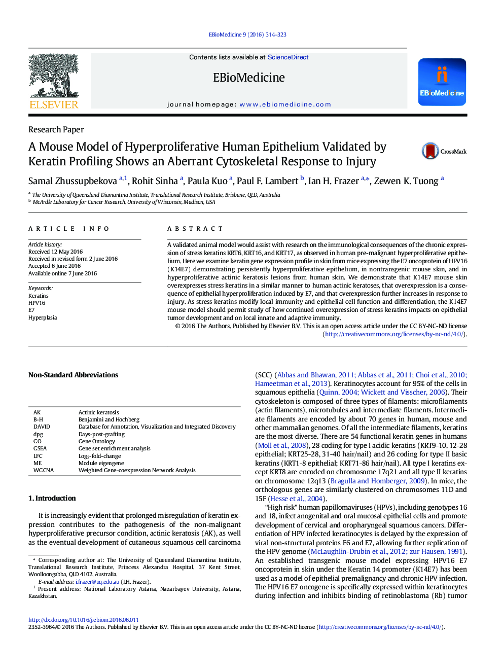 A Mouse Model of Hyperproliferative Human Epithelium Validated by Keratin Profiling Shows an Aberrant Cytoskeletal Response to Injury