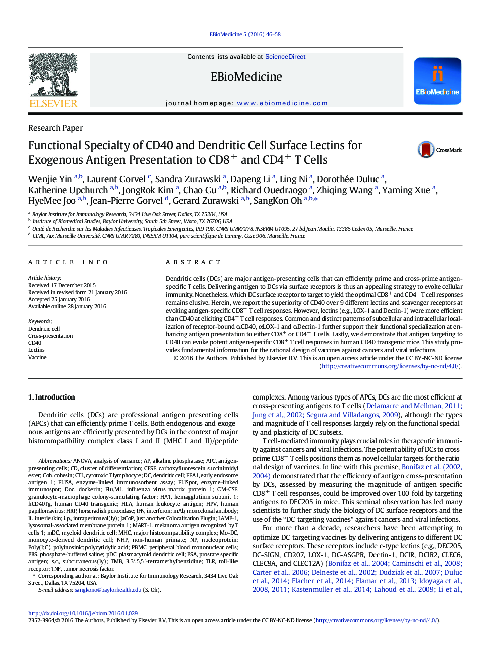 Functional Specialty of CD40 and Dendritic Cell Surface Lectins for Exogenous Antigen Presentation to CD8+ and CD4+ T Cells