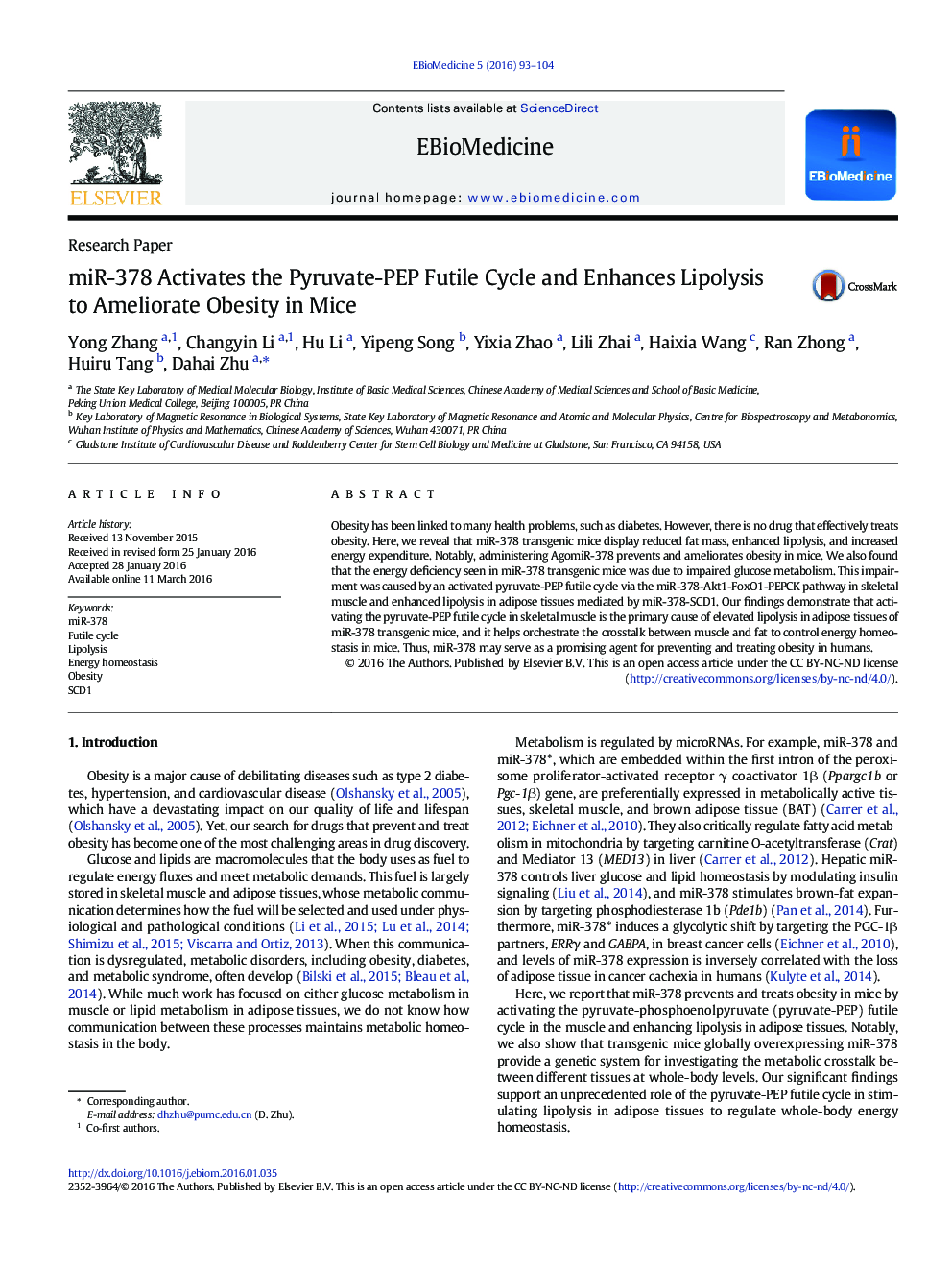 miR-378 Activates the Pyruvate-PEP Futile Cycle and Enhances Lipolysis to Ameliorate Obesity in Mice