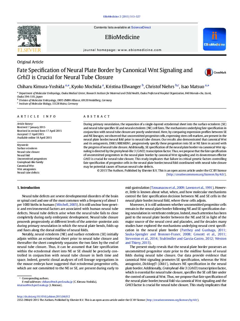 Fate Specification of Neural Plate Border by Canonical Wnt Signaling and Grhl3 is Crucial for Neural Tube Closure