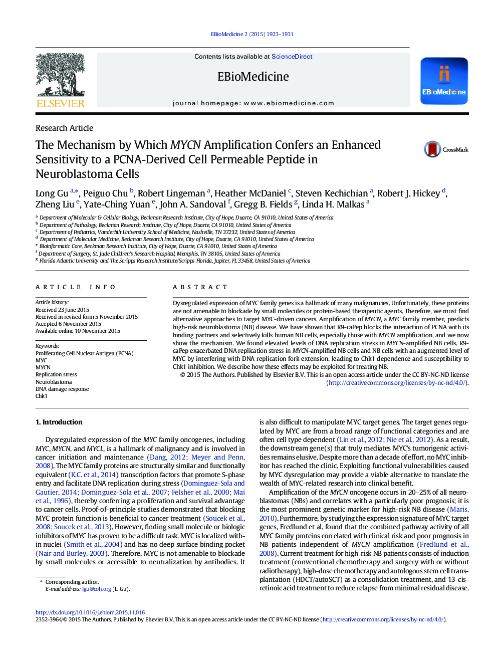 The Mechanism by Which MYCN Amplification Confers an Enhanced Sensitivity to a PCNA-Derived Cell Permeable Peptide in Neuroblastoma Cells