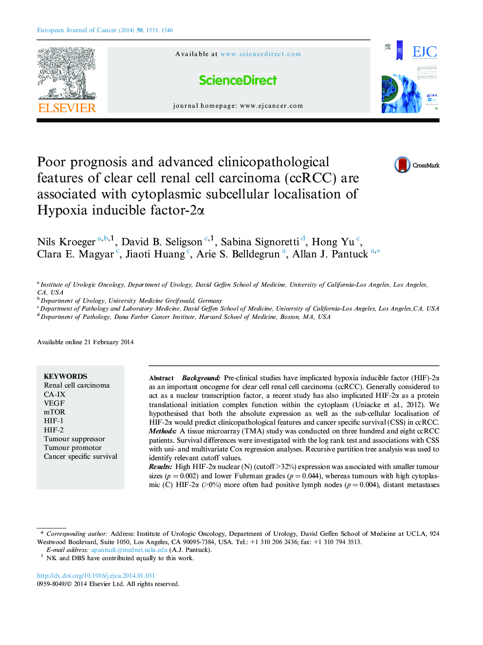 Poor prognosis and advanced clinicopathological features of clear cell renal cell carcinoma (ccRCC) are associated with cytoplasmic subcellular localisation of Hypoxia inducible factor-2α