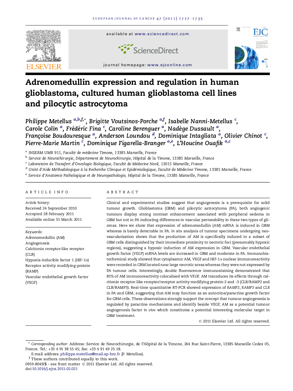 Adrenomedullin expression and regulation in human glioblastoma, cultured human glioblastoma cell lines and pilocytic astrocytoma