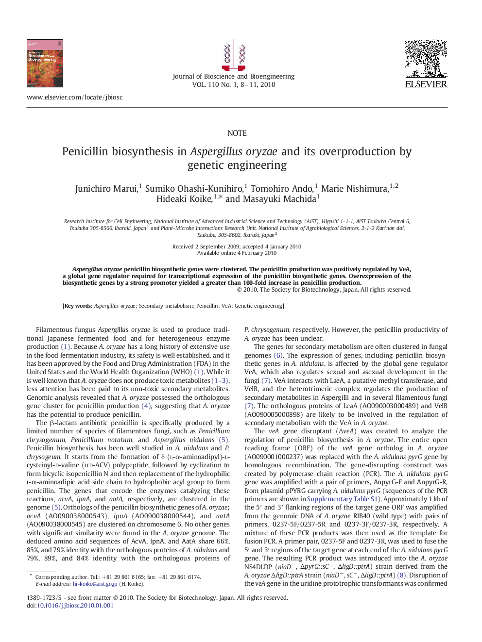 Penicillin biosynthesis in Aspergillus oryzae and its overproduction by genetic engineering