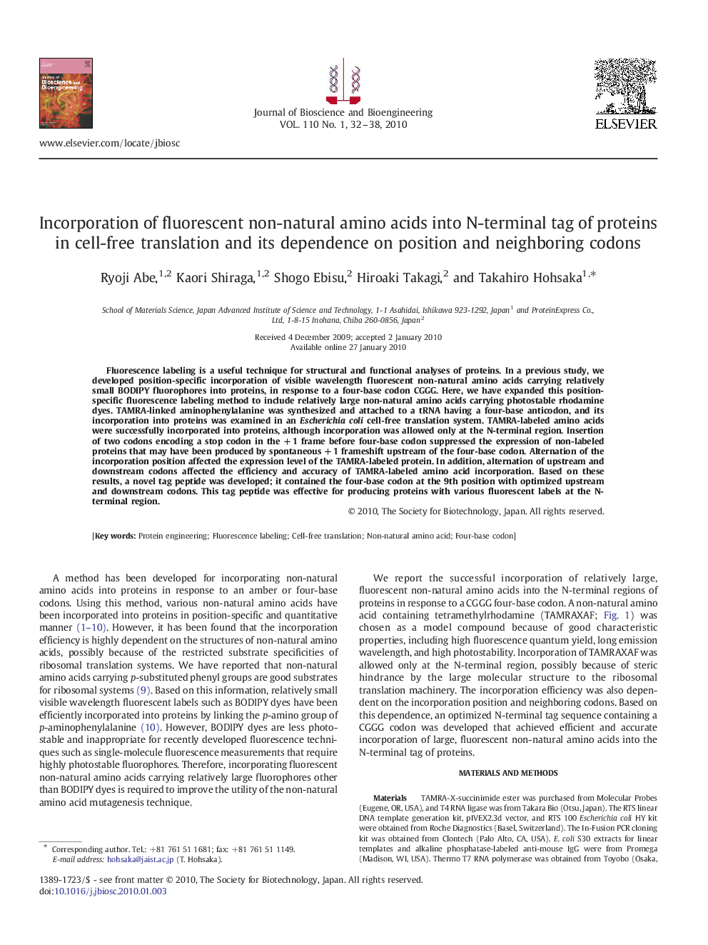 Incorporation of fluorescent non-natural amino acids into N-terminal tag of proteins in cell-free translation and its dependence on position and neighboring codons