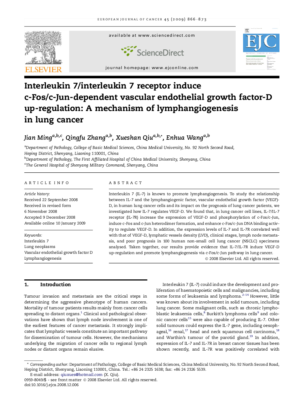 Interleukin 7/interleukin 7 receptor induce c-Fos/c-Jun-dependent vascular endothelial growth factor-D up-regulation: A mechanism of lymphangiogenesis in lung cancer