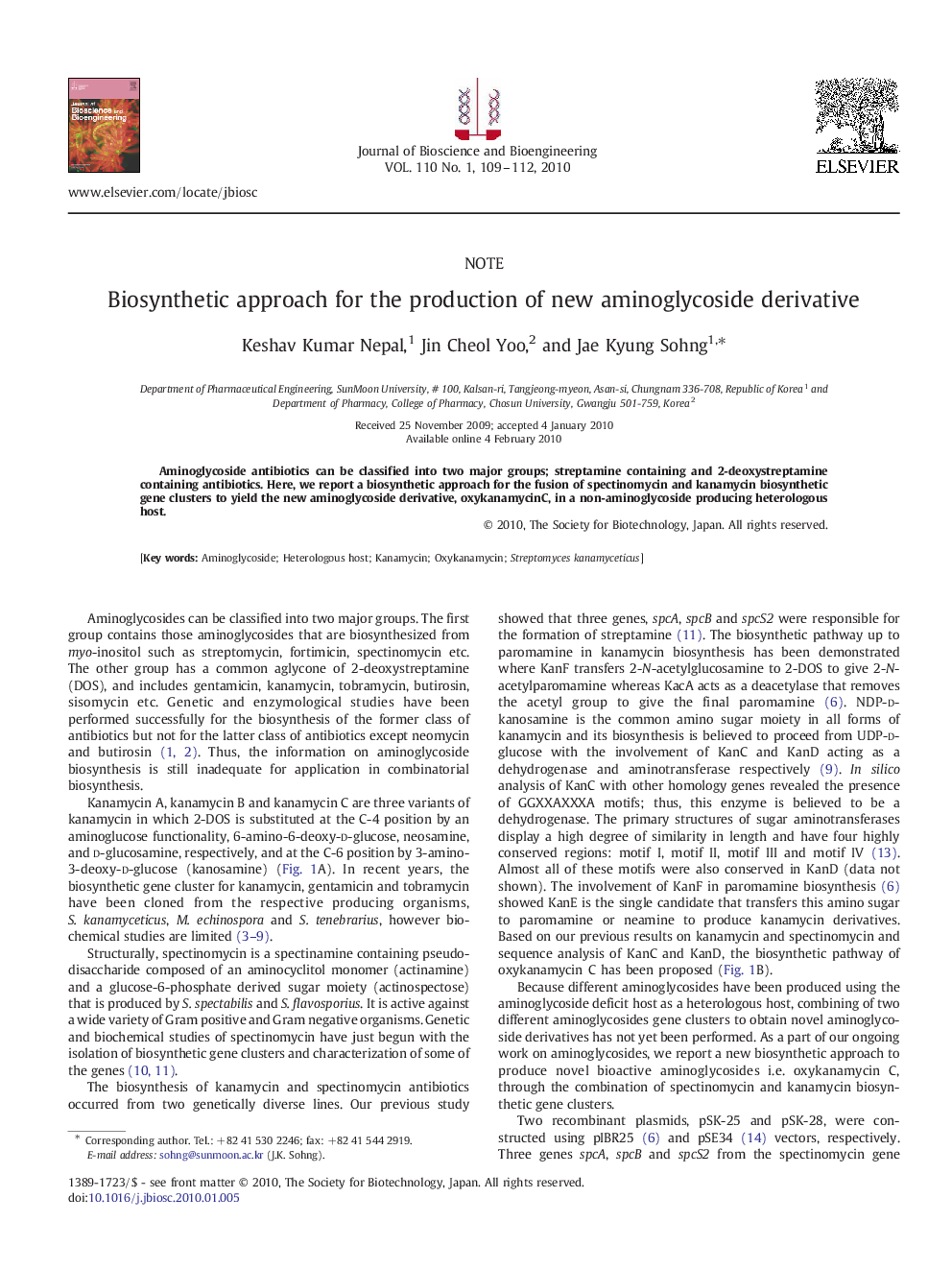 Biosynthetic approach for the production of new aminoglycoside derivative