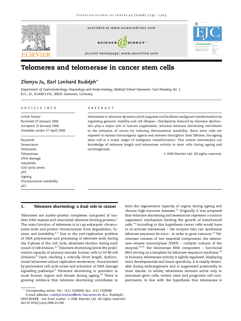 Telomeres and telomerase in cancer stem cells